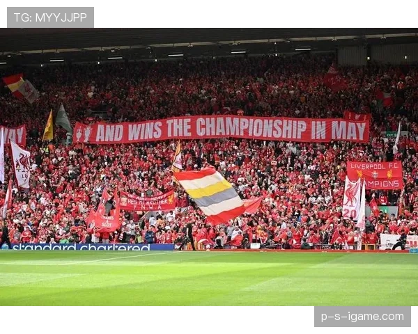 英超激战点燃球迷热情：精彩瞬间与顽强拼搏成焦点