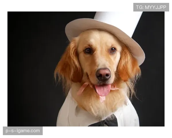 拉莫斯家的狗都吃有机牛排