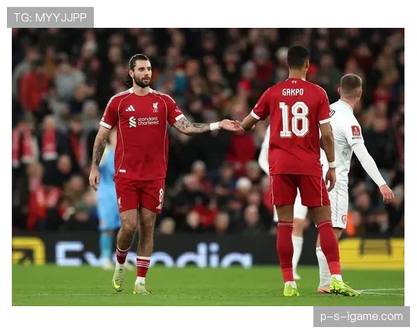 利物浦伤病对赛季走势影响已显现，球队稳定性面临考验